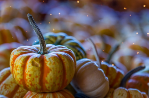 Fall Gourds Pumpkins