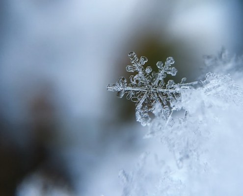 Snowflake... winter is Here!